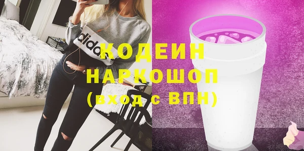 спиды Инсар