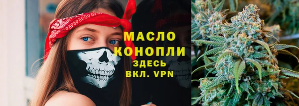 спиды Инсар