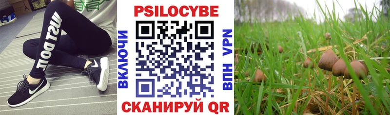 Галлюциногенные грибы Cubensis  Купить  Вичуга 